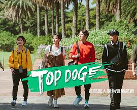 九色网《TOP DOG》免费在线观看