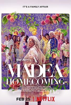 九色网《黑疯婆子圣母归来 A Madea Homecoming》免费在线观看