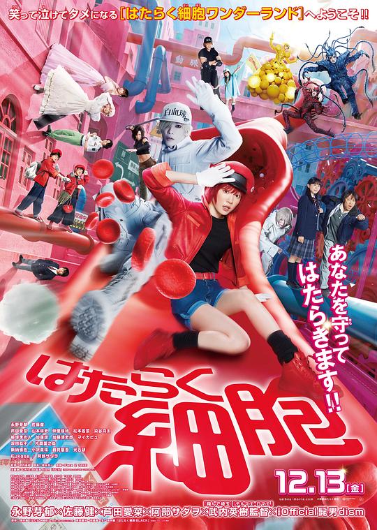 九色社区《工作细胞 真人版 はたらく細胞》免费在线观看
