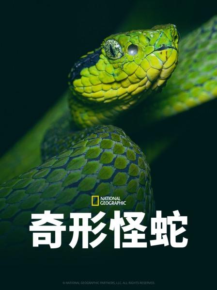 九色视频《奇形怪蛇》免费在线观看